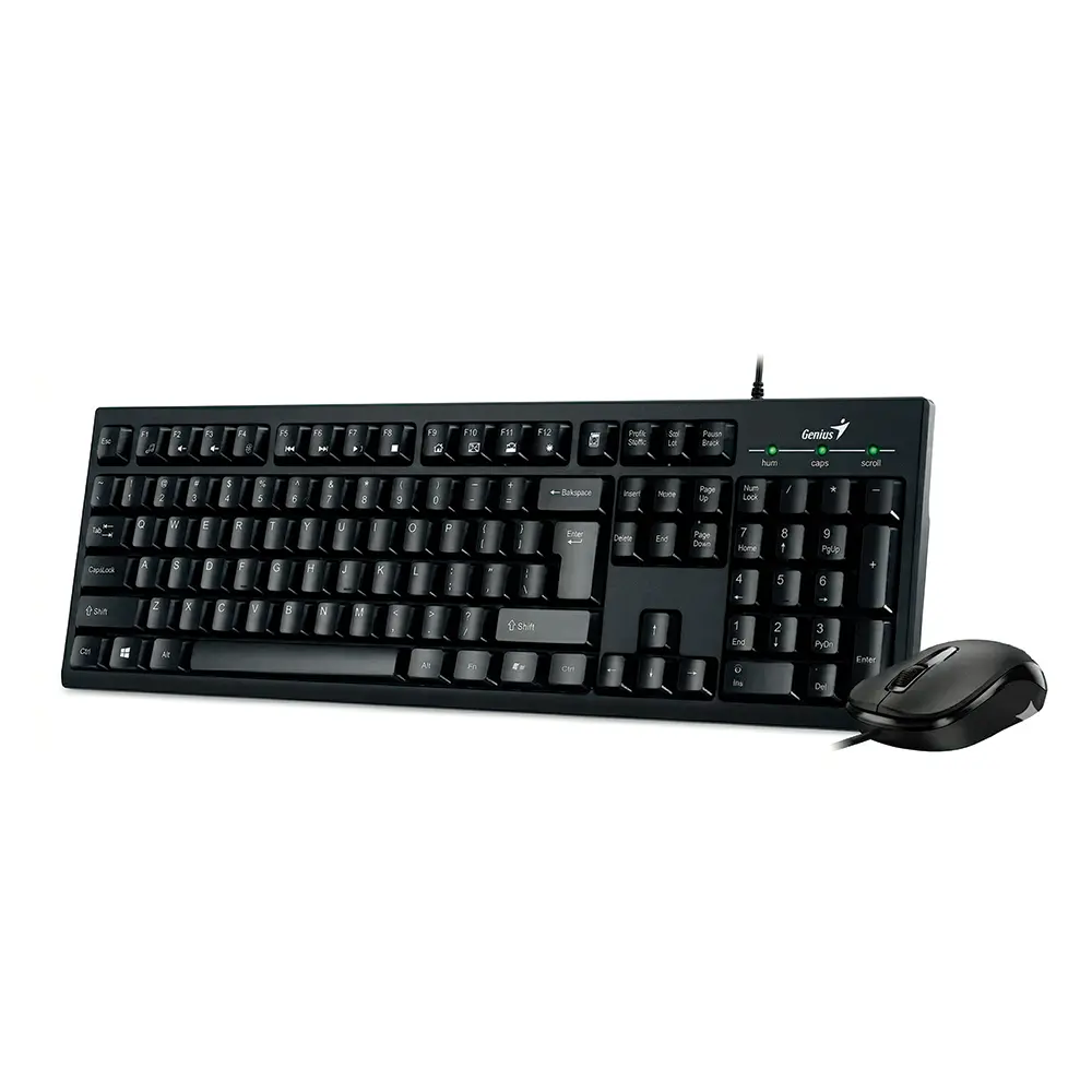 Teclado/ Mouse genius KM-100se usb negro